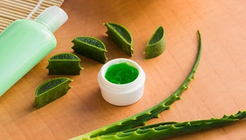 How does Aloe Vera Helps Get Rid of Fine Lines?